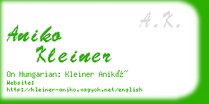 aniko kleiner business card